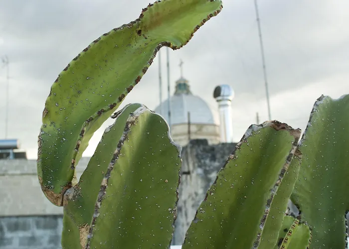 Sotto La VoltaBed and Breakfast